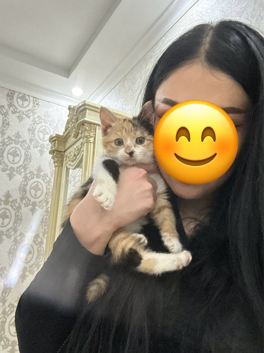 Отдам даром в добрые руки