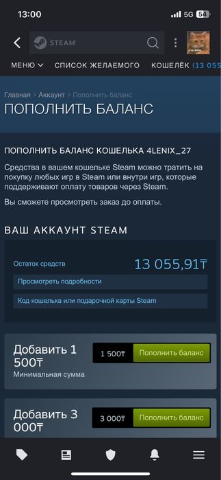 Steam аккаунт с 13к тг