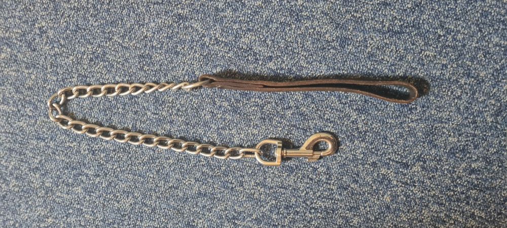 Lesa 70 cm pentru caine mare