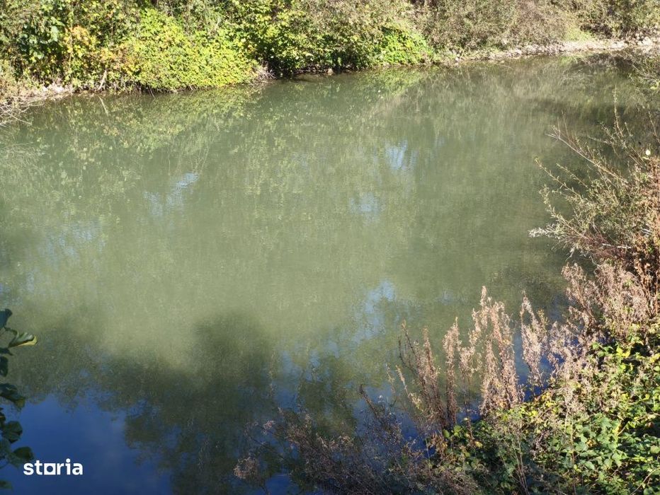 Teren imprejmuit cu iaz indiguit, 7200mp, Fratautii Vechi, Radauti