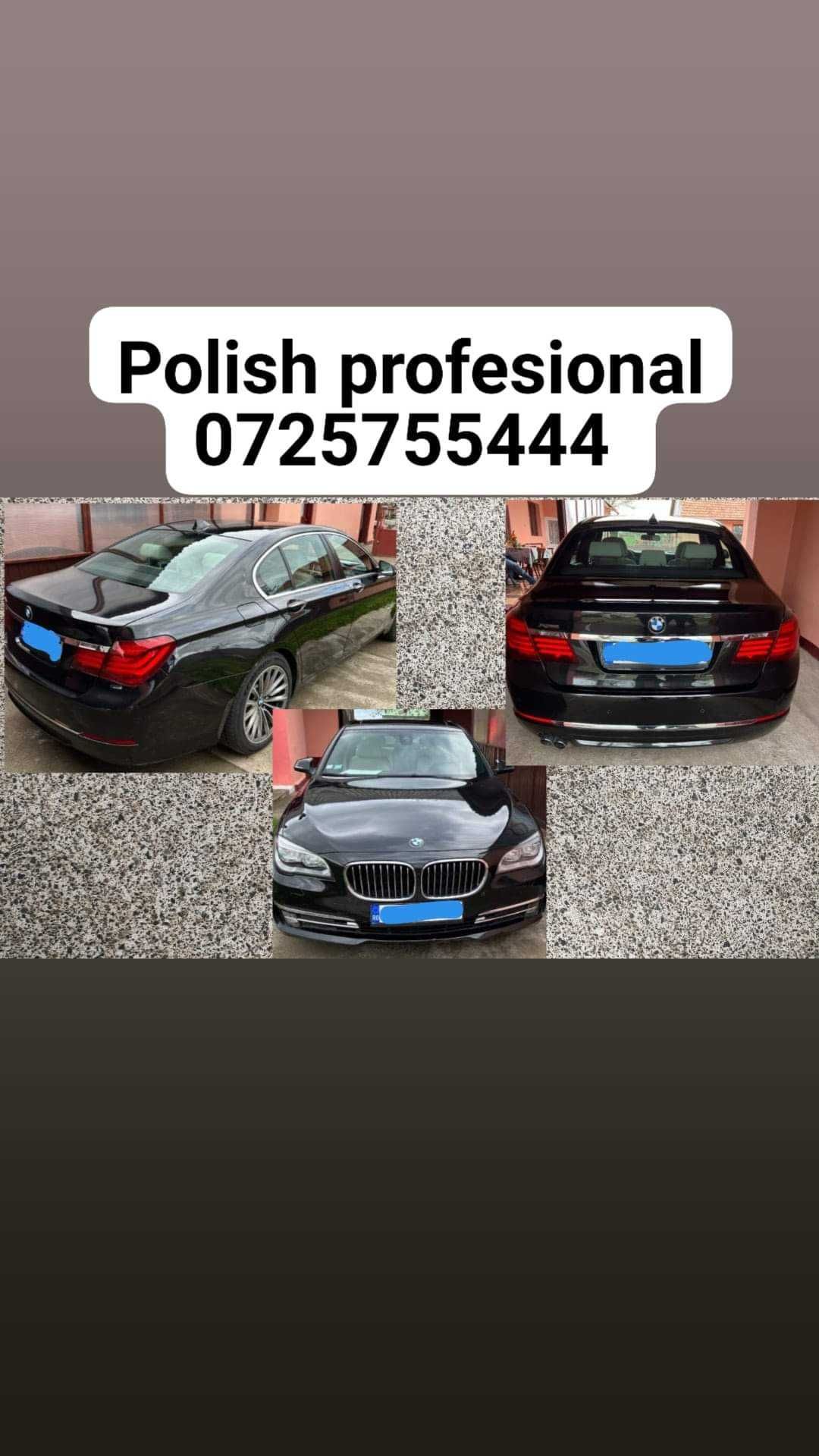 Polish auto profesional Deva