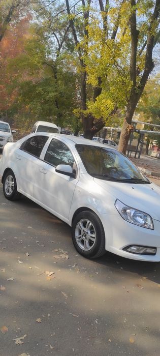 Nexia 3 eksport variant