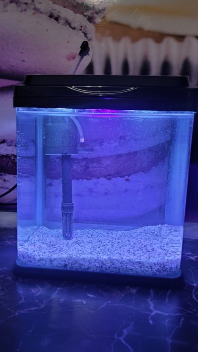 Оборудван аквариум