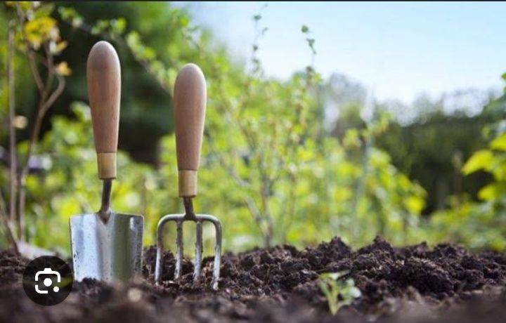 Уборка территорий Работа по двору