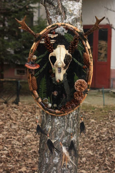Tablouri Naturale / Cadou / Lichenii / Mușchi