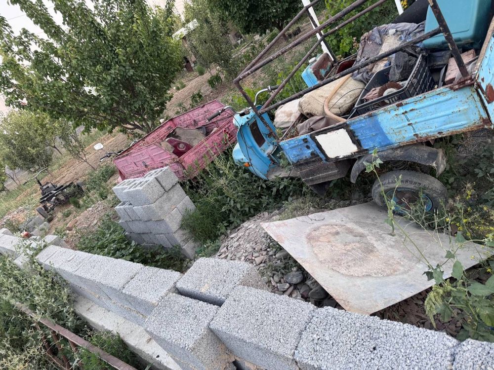 Муравей россия йахши тортади