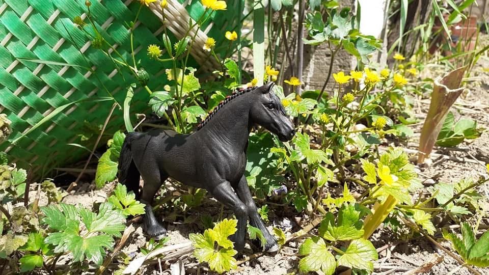 Schleich кончета – фигурки за деца и колекционери