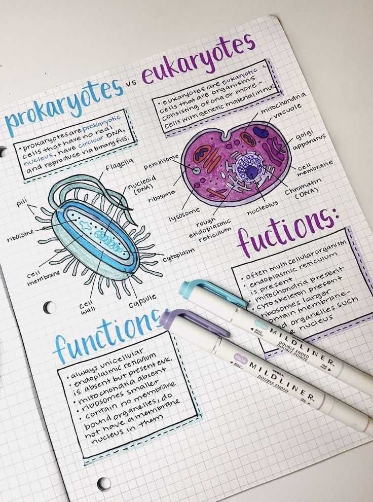 Meditații BAC BIOLOGIE clasele 11-12