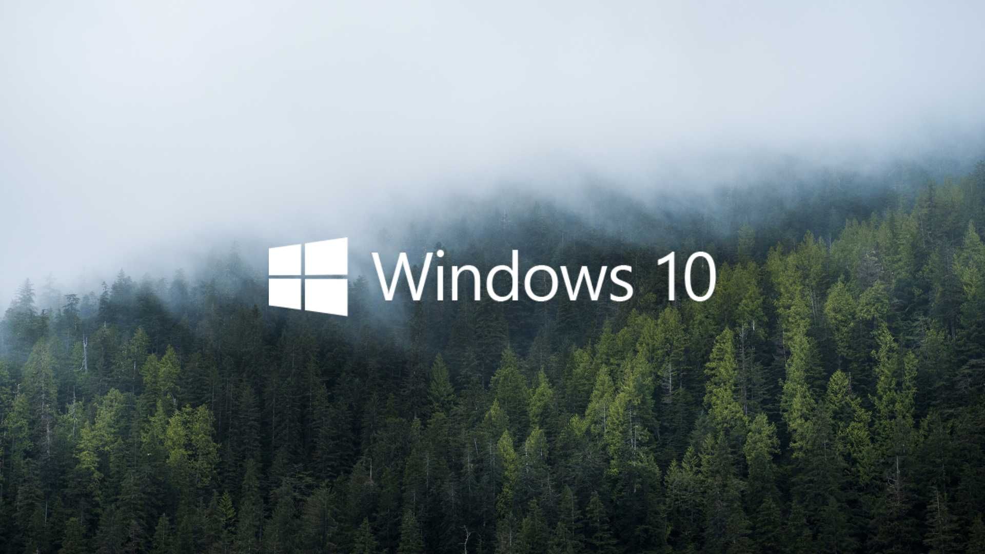 Программист, Установка Windows, обновление 1с