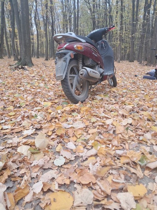 Scuter kymco 150cc