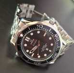 Omega seamaster pro