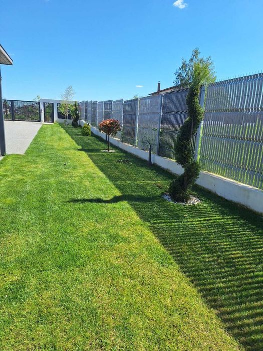 Garden Elen | Gazon Rulou & Semințe + Pregătire & Întreținere