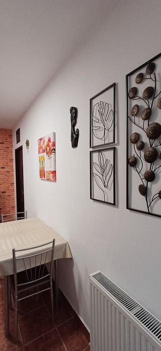 Apartament 1 camera