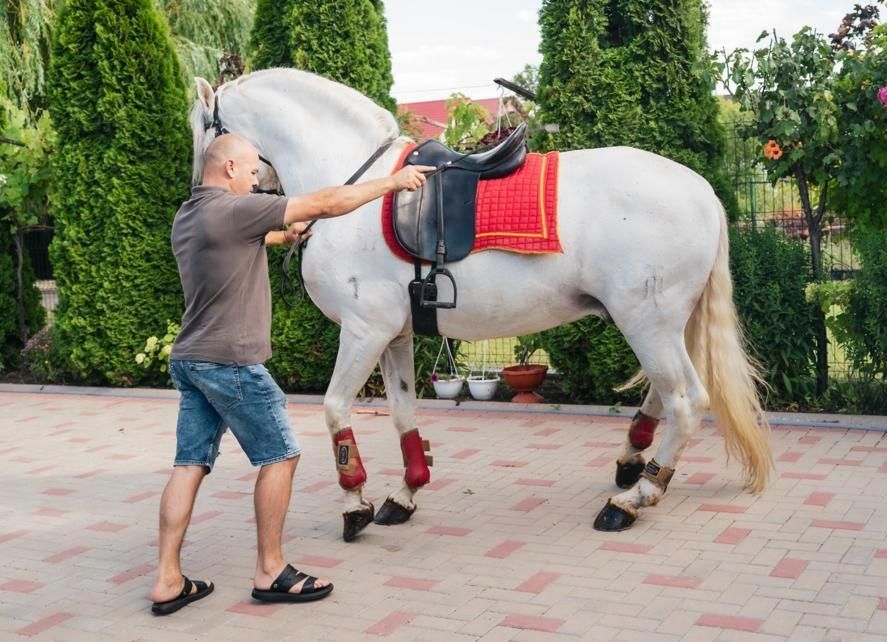 Vand Armasar Andaluz