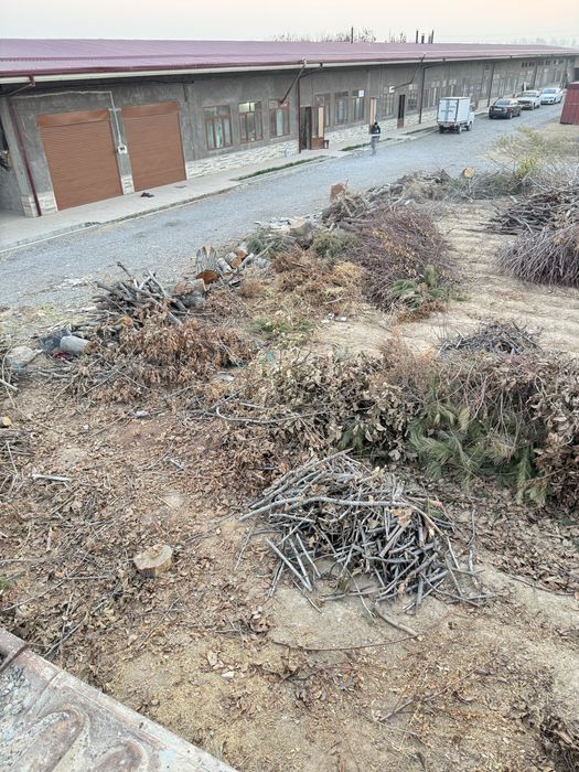 ötin. дрова. даром