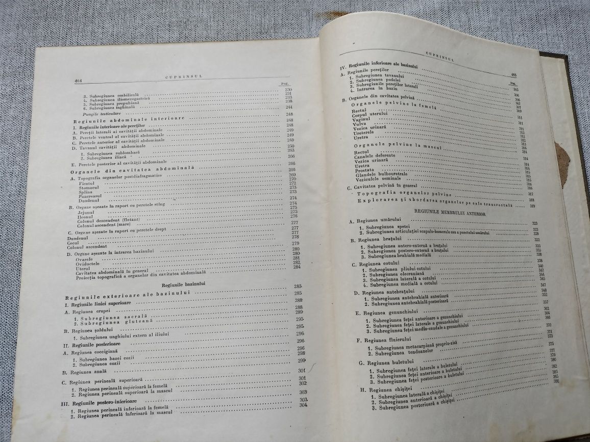 Anatomia topografică a calului, 1955