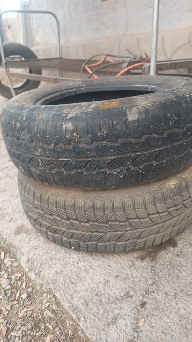 Шины  жагдаиы жаксы