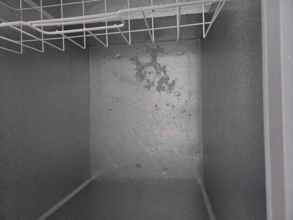 Lada frigorifica Gorenje