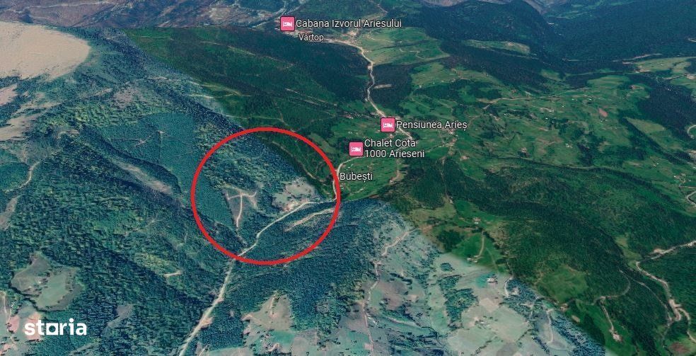 BUBESTI - ARIESENI, Casa P+1, grajd, coliba + anexe + teren 22.200 mp