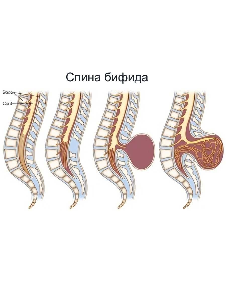 Мы ищем инвестора, Готовый проект в Турции и СНГ.