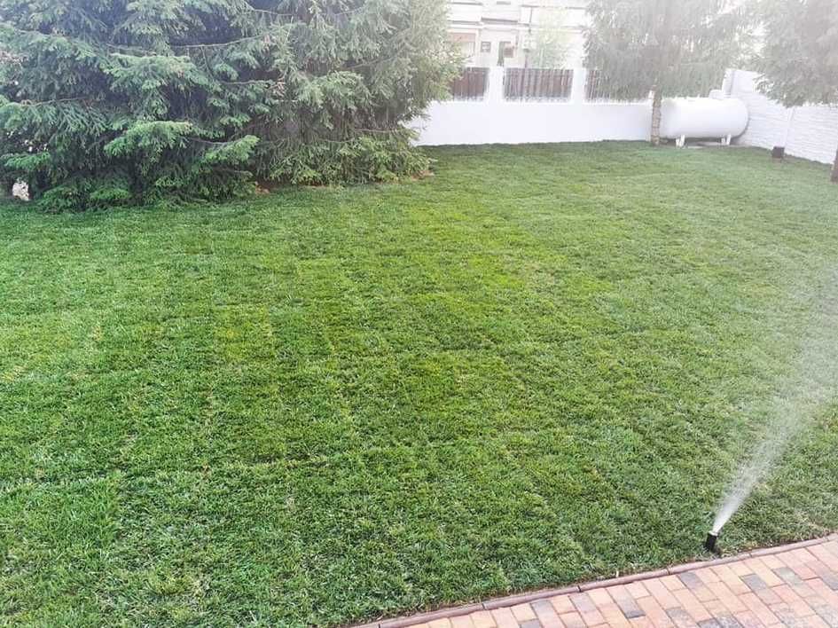 Gazon Rulou Verde Intens, Livrare Rapidă
