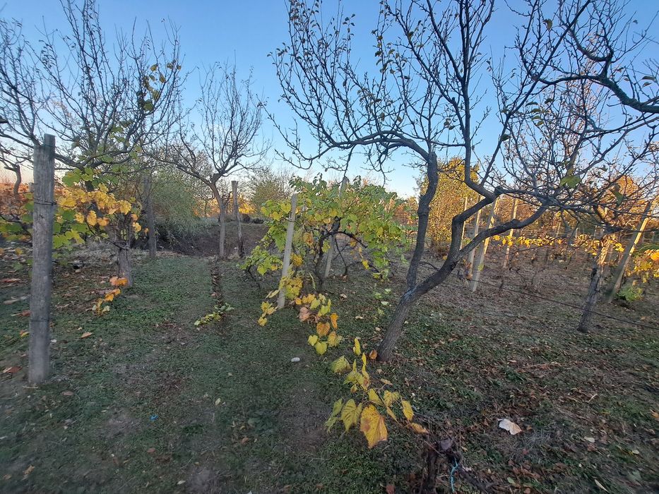 Casa de vanzare Spineni Olt