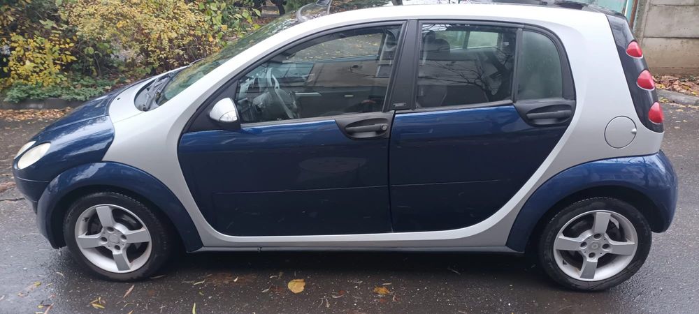 Pinguinul cel fasnet