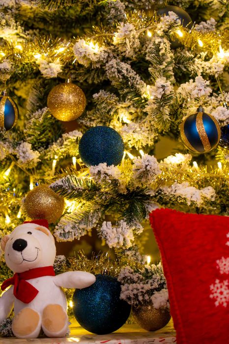 Коледна фотосесия