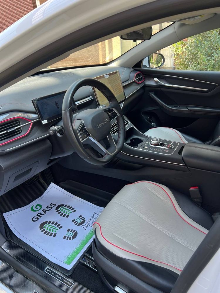 BYD chazor 120 tali