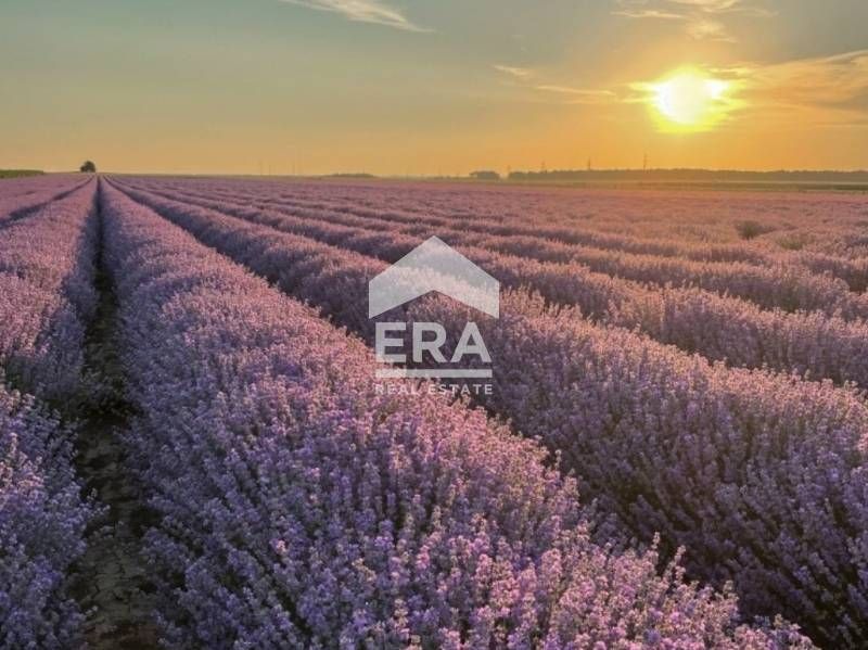 Уникална възможност – работещ био земеделски бизнес с техника, оборудв