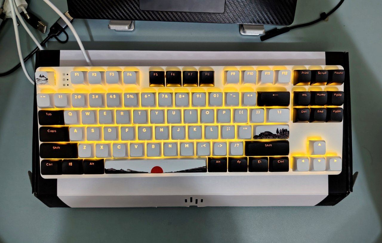 Dark Project One DP087 keyboard RGB  $50