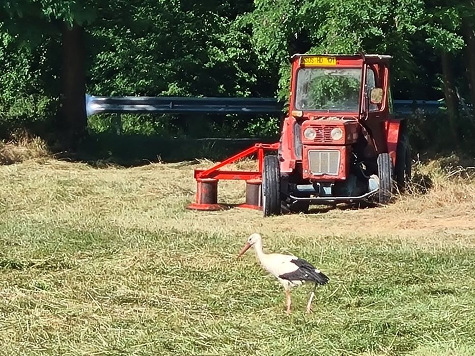 Vând cositoare rotativa cu tamburi