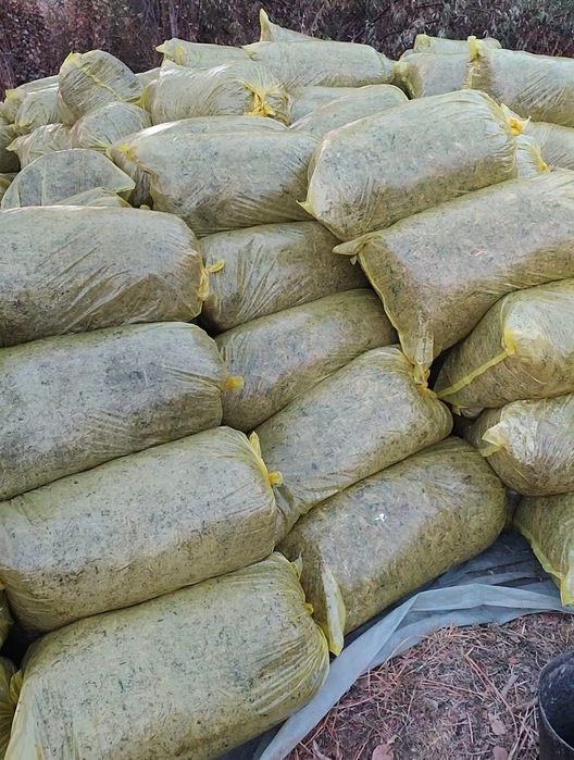 Silos qoplangan sotiladi