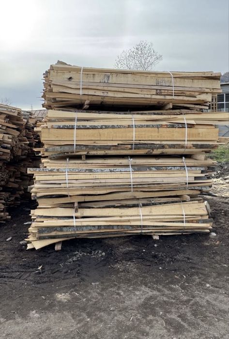 Laturoaie fag si brad