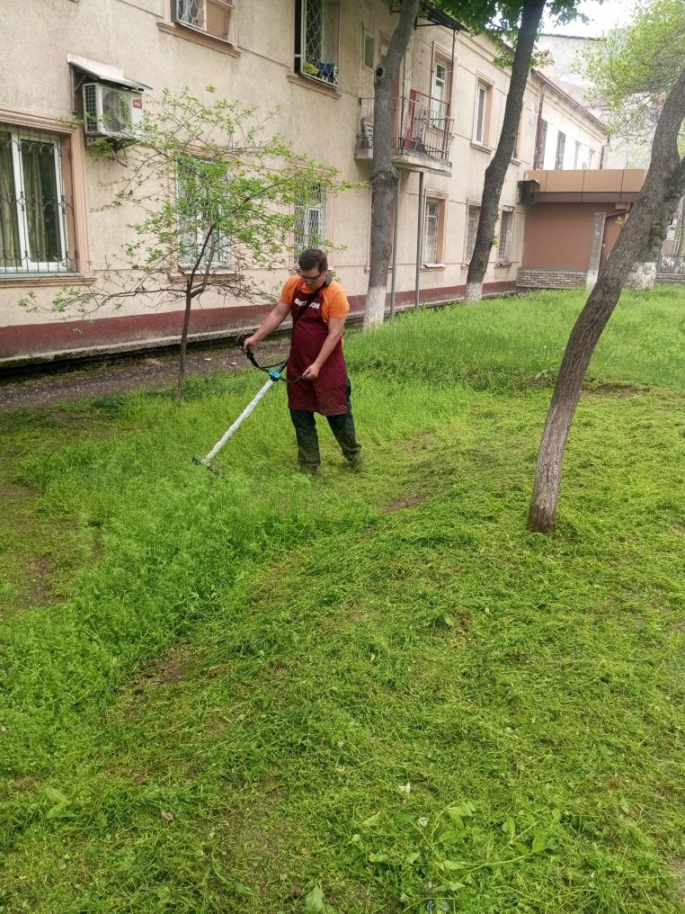 Газон уриш хизмати