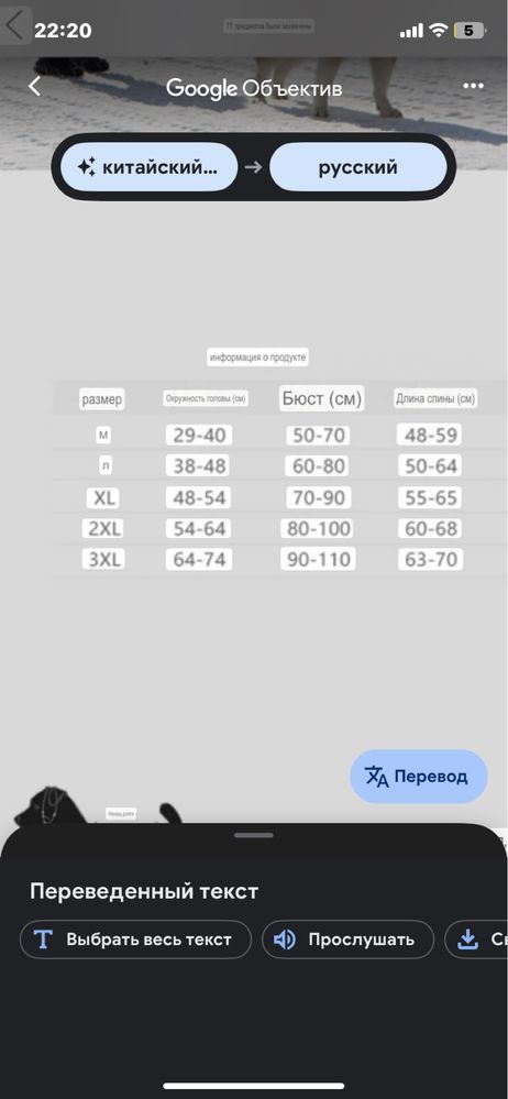 Ездовая шлейка для собак.