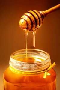 Алтайский мёд, пыльца, перга