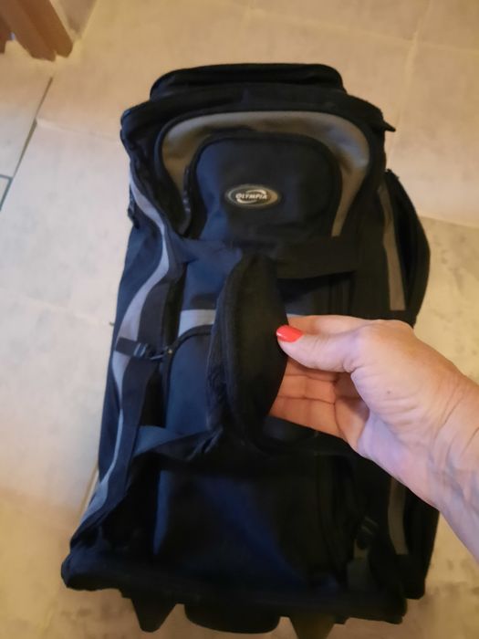 Troler/geanta încăpătoare