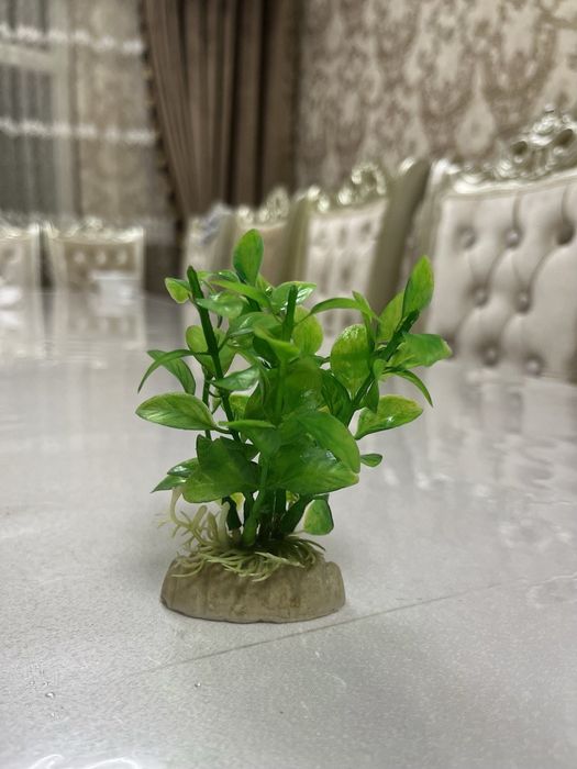 Аквариум аксессурлари