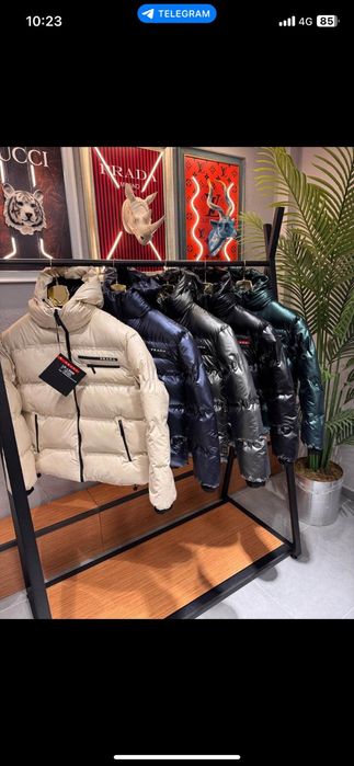 Gecii prada vânzare