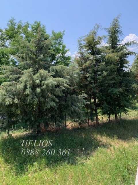 Продава се Къща в с. Горно Черковище, Област Стара Загора - 80 кв.м за 575 €/кв.м - Снимка #9