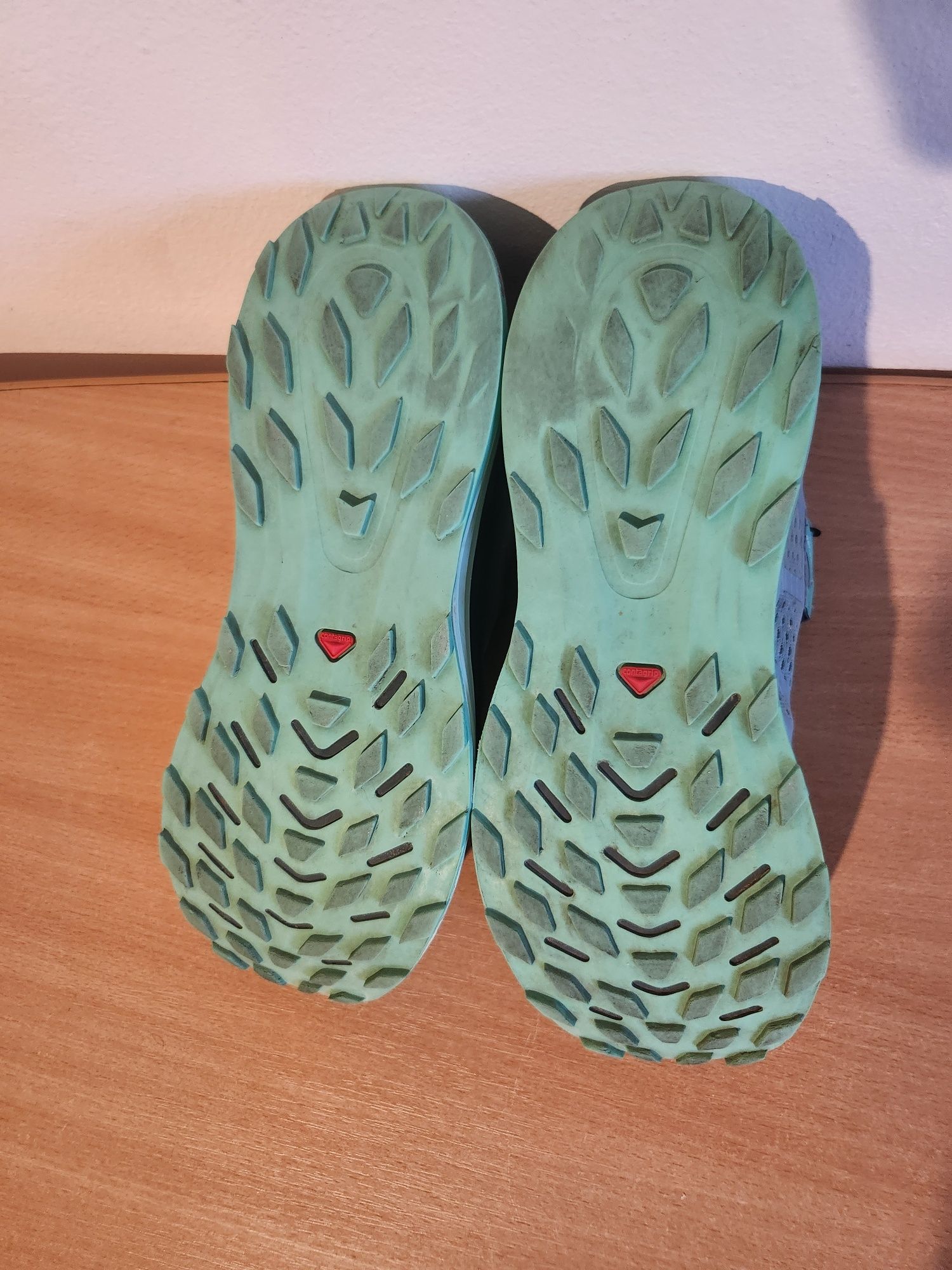 Salomon Ultra Glige 2, model Goretex