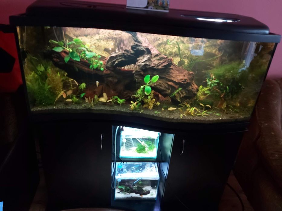 Вълнообразен аквариум 240л