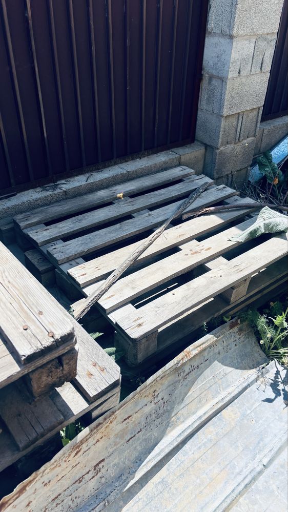 Поддоны