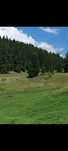 Vand doua  parcele la munte  in Bucovina