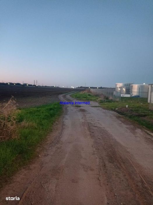 Teren constructie hale