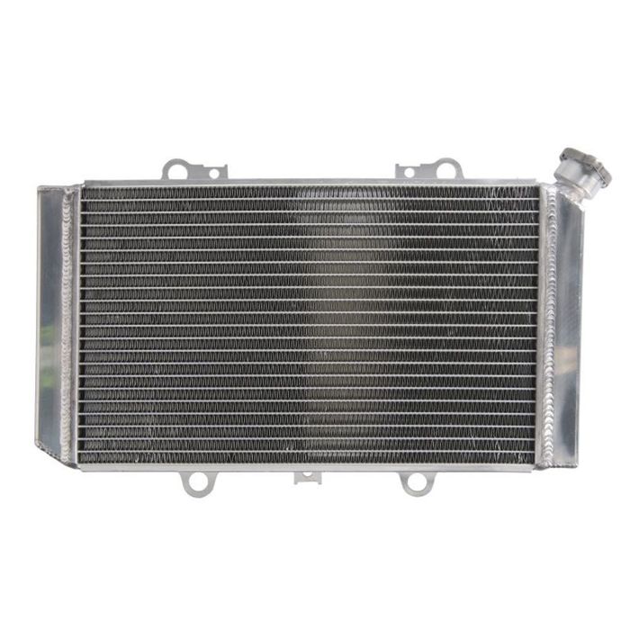 Radiator Yamaha YFM 660 Grizzly an 2002-2008 EVO-121