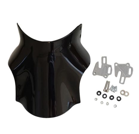 Parbriz nou pt Hornet, Bandit, Monster...