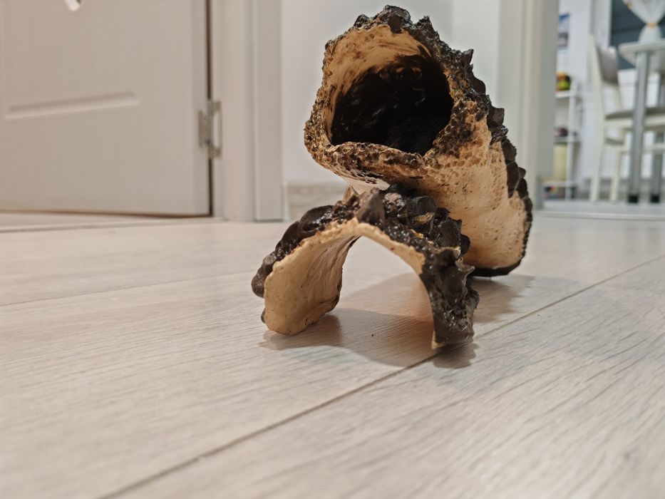 Vând decorațiune acvariu