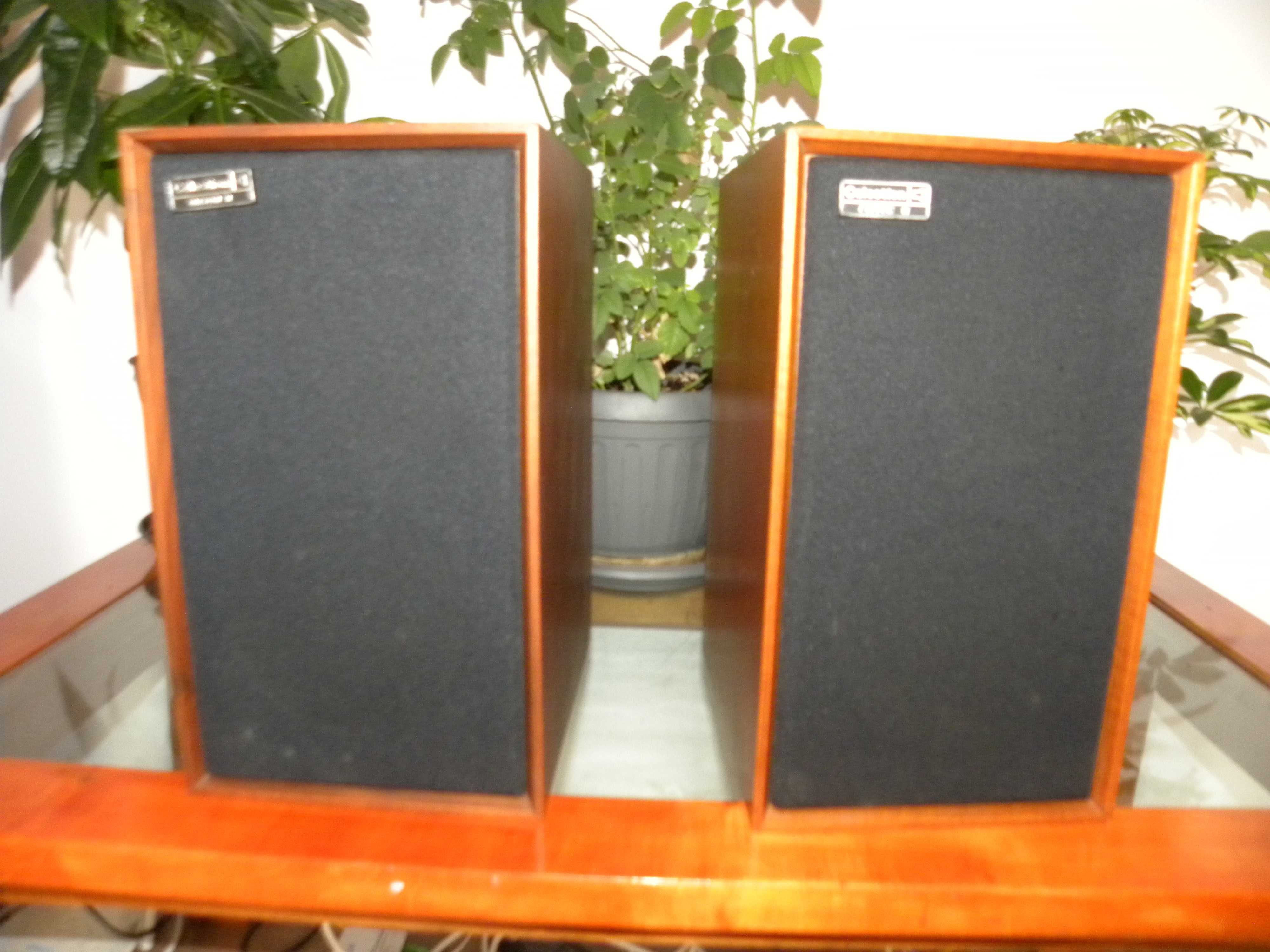 Vintage, Retro, Clasic - Celestion Ditton 11